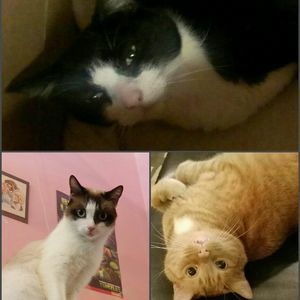 Meet your Posher, Heidi